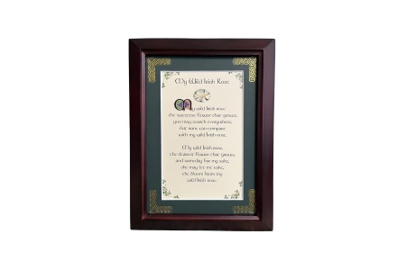 My Wild Irish Rose - 5x7 Framed