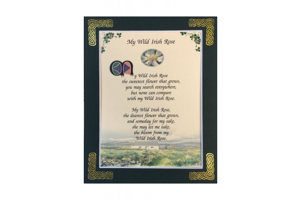 My Wild Irish Rose - 8x10 Matted